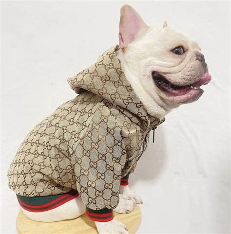 echte gucci pet|gucci pet clothes.